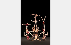 Stage de Gym Acrobatique