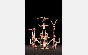 Stage de gym acrobatique