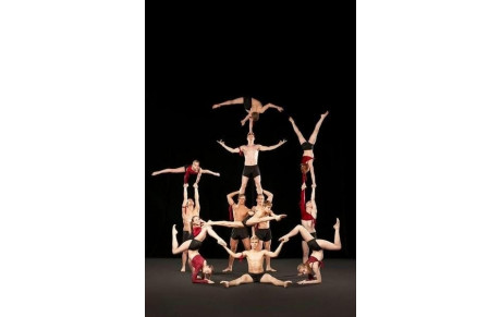 Stage de gym acrobatique